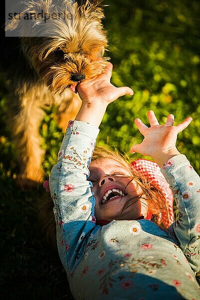 Porträt eines schönen kleinen 2 Jahre altes Mädchen liegt auf Gras und lacht mit York Terrier versucht  ihr Gesicht zu lecken. Haustiere mit Kindern Konzept