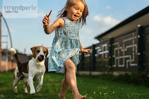 Baby Mädchen läuft mit Beagle Hund im Hinterhof am Sommertag. Haustier mit Kindern Konzept