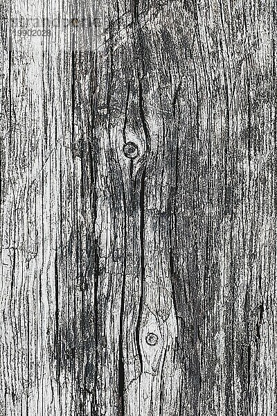 Altes Holz Textur  grau hölzernen Hintergrund natürlich verwittert