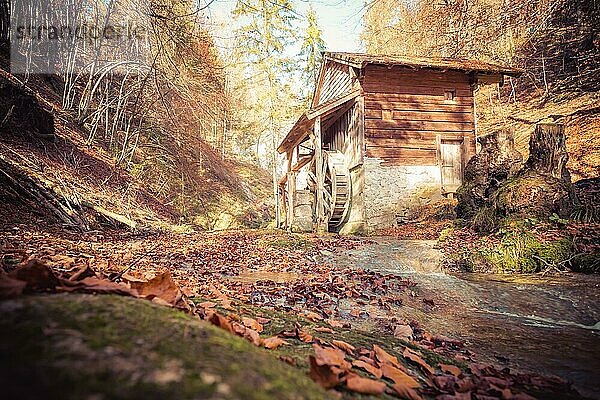 Idyllische Wassermühle in Österreich  Herbstzeit  Wald im Herbst