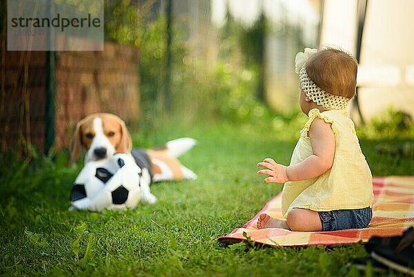 Junges Mädchen mit einem Beagle Hund im Freien. Familie Haustier Konzept