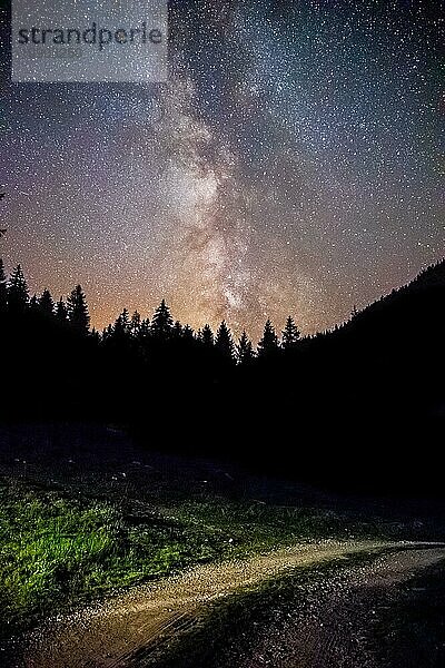 Klare Milchstraße bei Nacht  Silhouetten von Bäumen