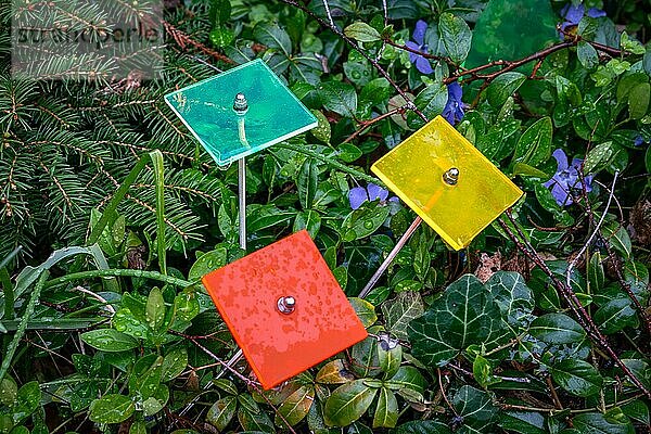 Drei quadratische Sonnenfänger in den Farben Grün  Rot und Gelb an einem regnerischen Tag