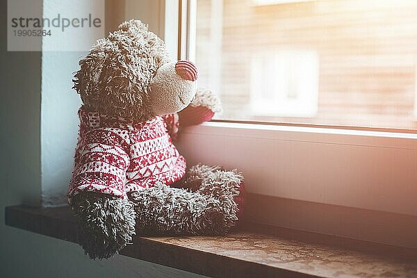 Niedlicher Teddybär sitzt auf der Fensterbank und schaut aus dem Fenster  Sonnenlicht