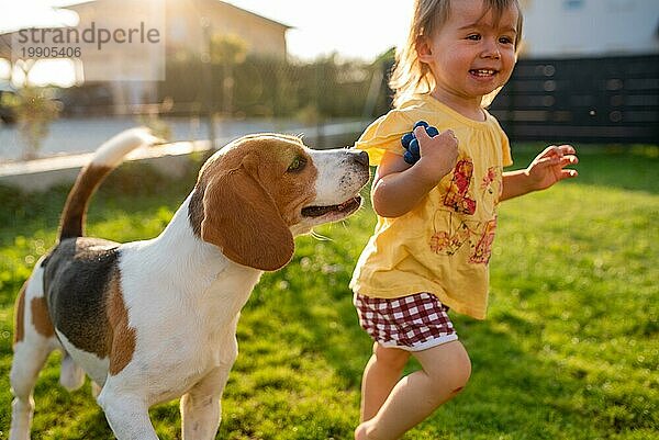 Baby Mädchen läuft mit Beagle Hund im Garten im Sommer Tag. Haustier mit Kindern Konzept
