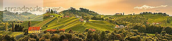 Südsteirische Weinbergslandschaft  bei Gamlitz  Österreich  Eckberg  Europa. Blick auf die Weinberge von der Weinstraße im Herbst. Touristisches Ziel  Panorama  Europa