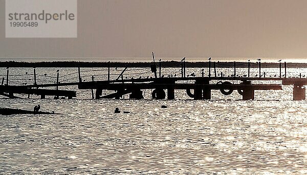 Silhouette eines alten gebrochenen Pier mit Vögeln im Meer im Sommer Abend