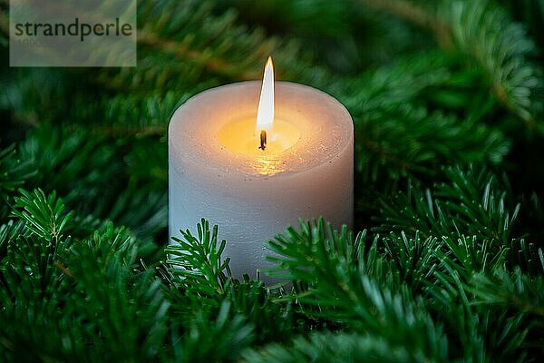 Weihnachtsmotiv  Tapete mit weißer brennender Kerze  umgeben von Nordmanntannenzweigen