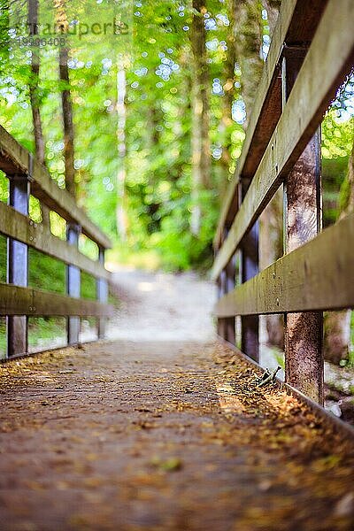 Holzbrücke im Wald  unscharfer Hintergrund