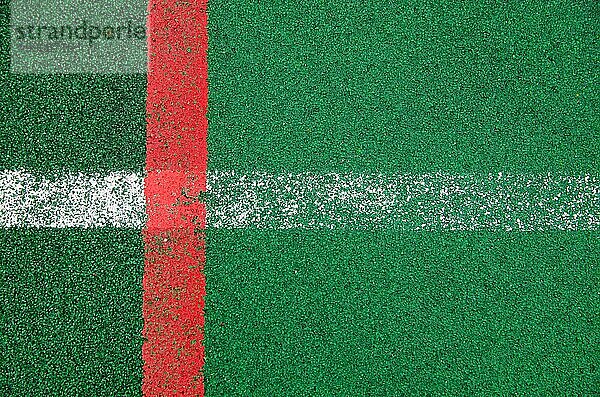 Eine Nahaufnahme zeigt einen speziellen Sportplatz im Freien  der mit einer grünen Gummikruste mit markierten Linien für das Spielen von Sportarten bedeckt ist. Ansicht von oben