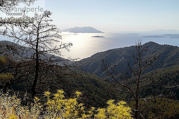 Gegenlichtaufnahme von der Westküste bei Kritina auf der Insel Rhodos mit gelben Pflanzen  Bäumen und Wald im Vordergrund und dem ägäischen Meer mit kleinen Inseln im Hintergrund