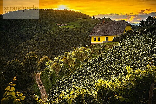 Farbenfrohe Landschaft bei Sonnenuntergang in den Weinbergen in der österreichischen Landschaft in der Stadt Kitzeck im Sausal. Touristisches Ziel