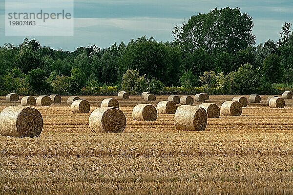 Fröhliche Herbstszene mit runden Strohballen auf einem gemähten Getreidefeld bei strahlendem Sonnenschein mit eindrucksvollen Wolken am Himmel