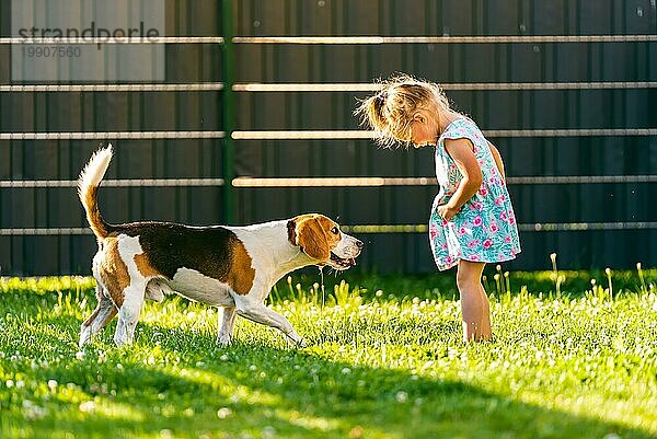 Baby Mädchen steht mit Beagle Hund im Hinterhof im Sommer Tag. Haustier mit Kindern Konzept. Hund mit 23 Jahre alt