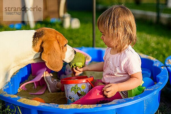 Baby Mädchen spielt in einem Sandkasten im Freien in sonnigen Tag. Beagle Hund compannion. Kind im blaün Sandkasten im Sommer