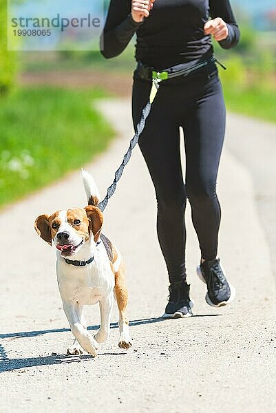 Mädchen läuft mit Hund draußen in der Natur auf der Straße Sonniger Tag auf dem Lande. Kopierraum für Text