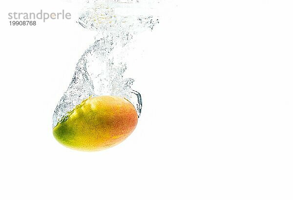 Mangofrucht  die ins Wasser spritzt  vor weißem Hintergrund