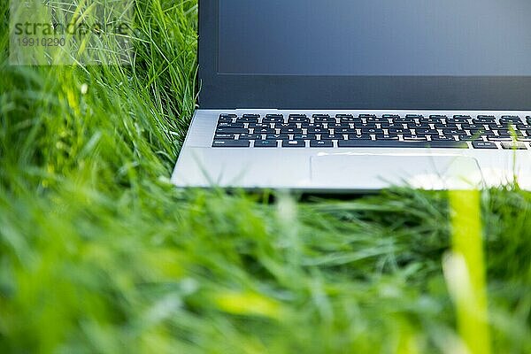 Nahaufnahme eines Laptops  der im grünen Gras liegt und im Freien im Park lernt