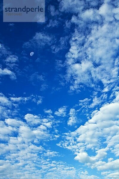 Der schöne wolkenlose blaue Himmel
