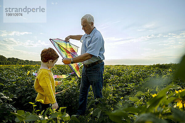 Großvater steht mit Enkel und hält Drachen im Sonnenblumenfeld
