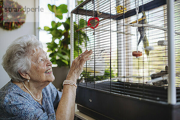Glückliche ältere Frau  die zu Hause einen Vogel im Käfig betrachtet