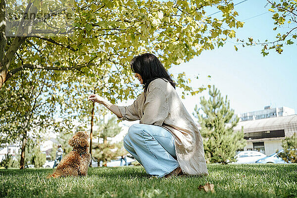 Woman crouching and feeding poodle dog in park