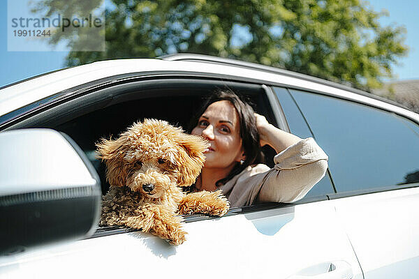 Smiling woman leaning out of window with poodle dog in car