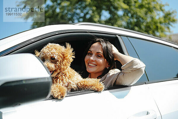 Glückliche Frau lehnt sich mit Pudelhund im Auto aus dem Fenster