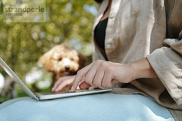 Freiberufler arbeitet am Laptop mit Hund im Park