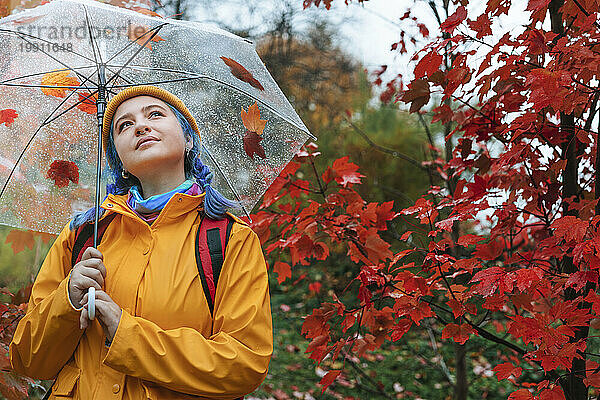 Glückliche Frau hält Regenschirm neben Baum im Herbstpark