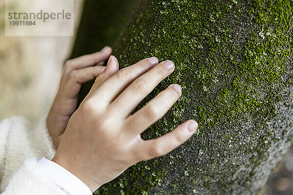 Hände eines Mädchens berühren Baumstamm
