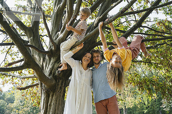 Vater und Mutter mit Kindern spielen auf einem Baum im Park