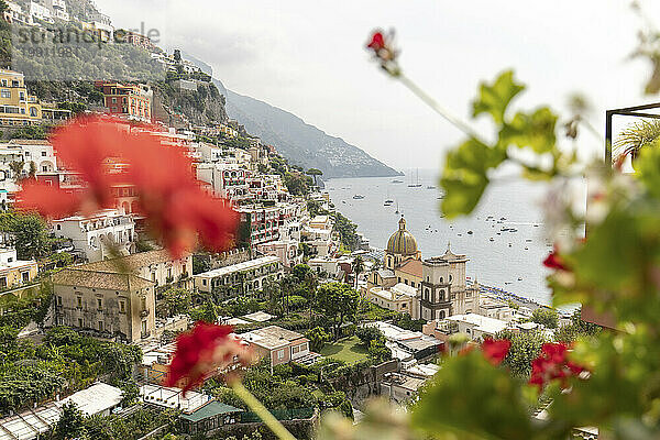 Italien  Kampanien  Positano  Bergdorf an der Amalfiküste mit Blumen im Vordergrund