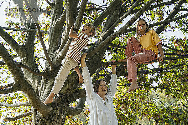 Glückliche Mutter spielt mit Sohn und Tochter  die auf einem Baum im Park sitzen