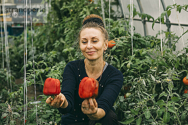 Lächelnde Frau hält rote Paprika im Gewächshaus