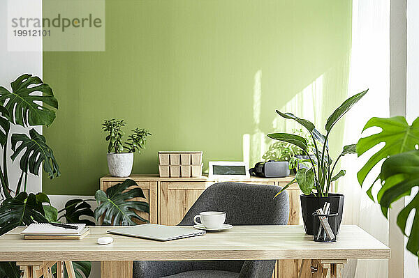 Modernes  helles Interieur des Heimbüros mit Möbeln und Pflanzen am Schreibtisch