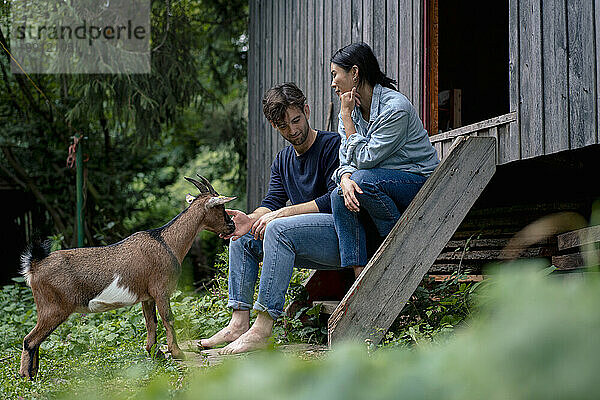 Frau sitzt mit Mann und streichelt Ziege in der Nähe einer Holzhütte
