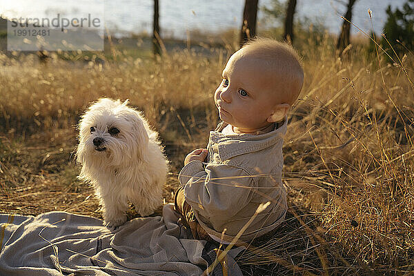 Niedlicher kleiner Junge sitzt mit Hund auf dem Feld