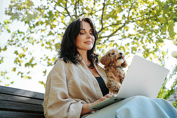 Smiling freelancer holding poodle dog and working on laptop at park