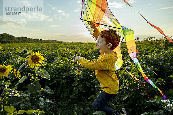 Fröhlicher Junge hält Drachen in der Hand und läuft im Sonnenblumenfeld