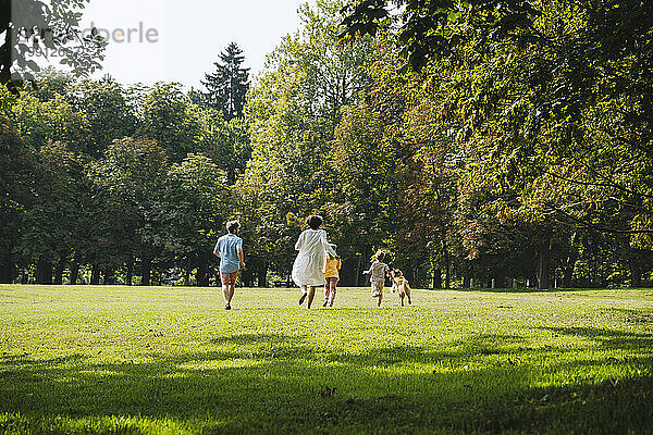 Familie vergnügt sich mit Hund  der im Park auf Gras läuft