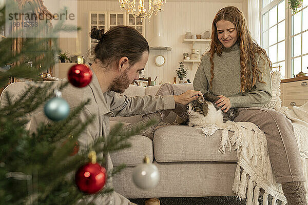 Smiling couple petting cat on sofa near Christmas tree at home