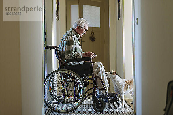 Lächelnder älterer Mann sitzt im Rollstuhl neben Hund