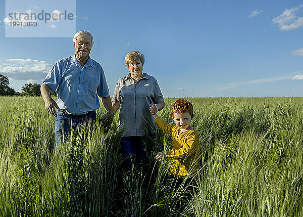 Enkel hält Hand der Großeltern  die im Feld spazieren gehen