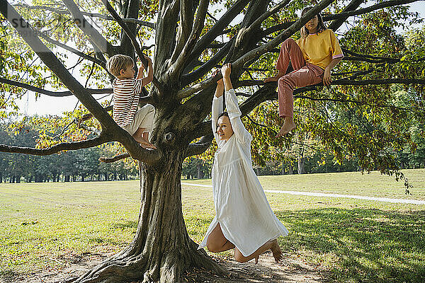 Junge und Mädchen mit Mutter hängen am Ast eines Baumes im Park