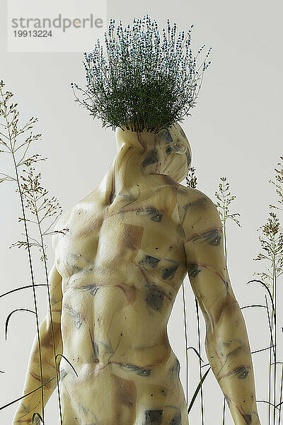 3D-Darstellung von Blumen  die auf dem Kopf eines Mannes ohne Hemd wachsen