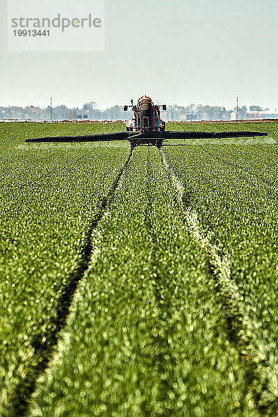 Serbien  Provinz Vojvodina  Traktor versprüht Herbizid in einem riesigen grünen Weizenfeld