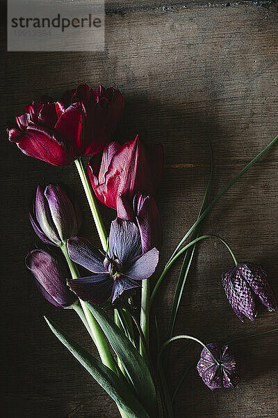 Freshly picked tulips  snakes head fritillaries (Frittilaria meleagris) and Persian lilies (Frittilaria persica)
