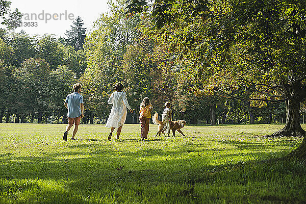 Familie läuft mit Hund auf Gras im Park