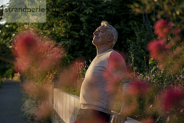 Lächelnder Mann  der bei Sonnenuntergang neben Pflanzen und Bäumen steht